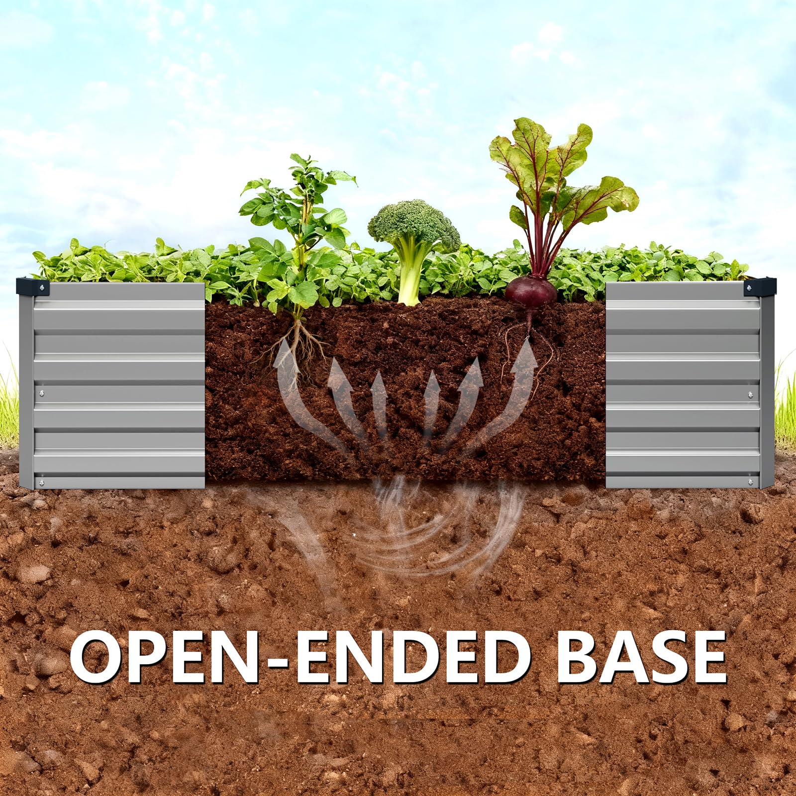 vengarus open base root growth illustration demonstrating improved drainage and healthier roots