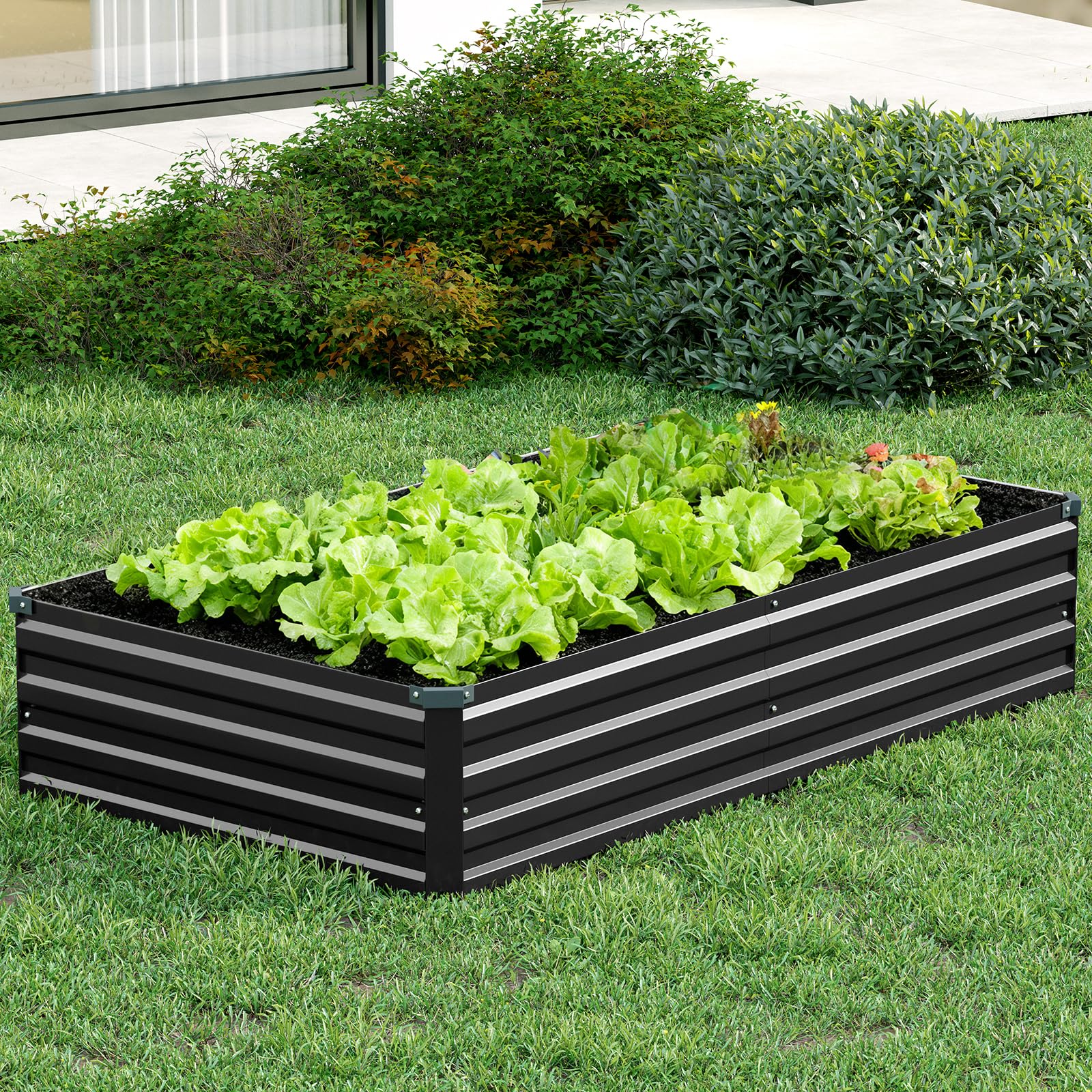 Vengarus planted vegetable bed overhead showing productive layout and yield