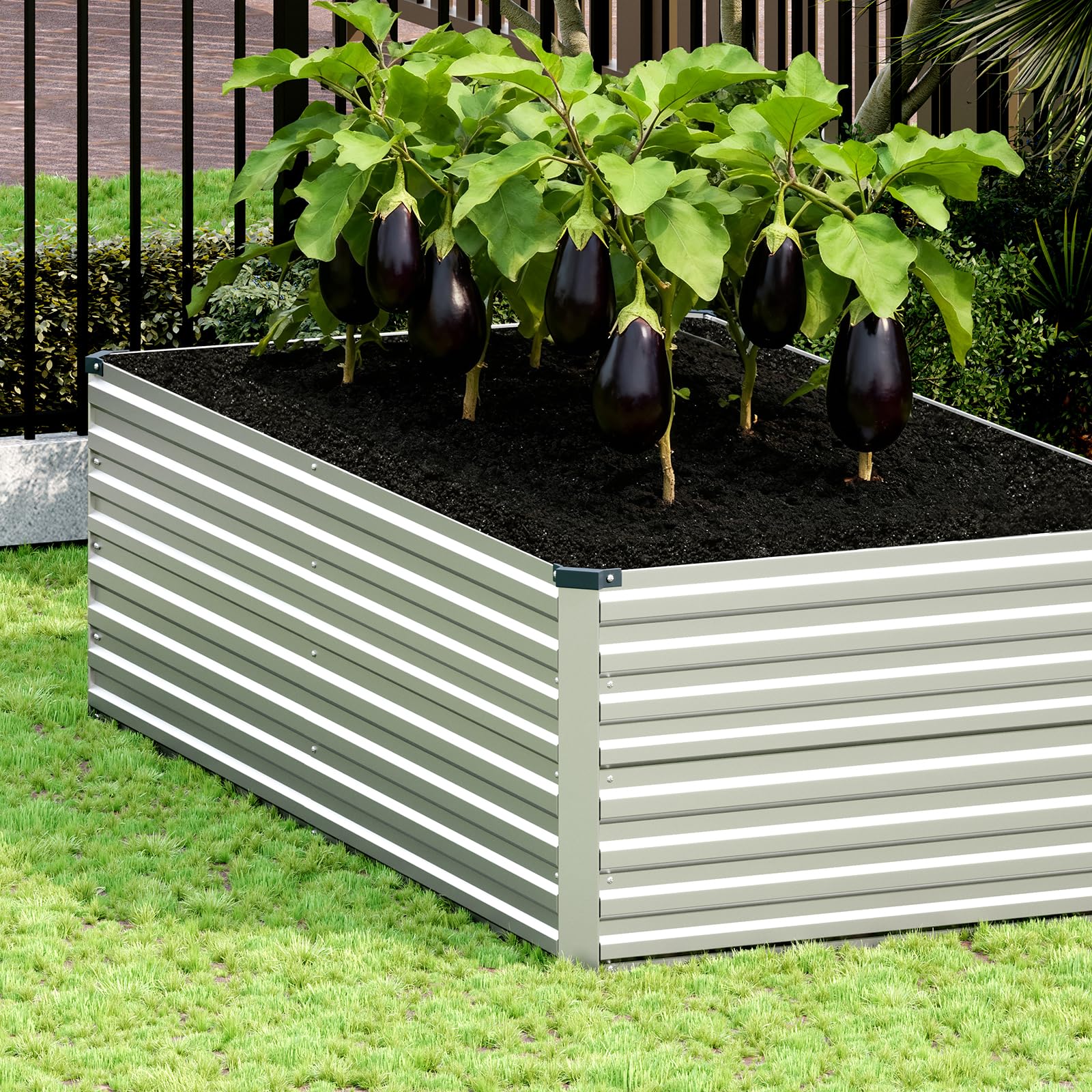 Vengarus gardener planting seedlings into the metal bed demonstrating easy access and ergonomic height