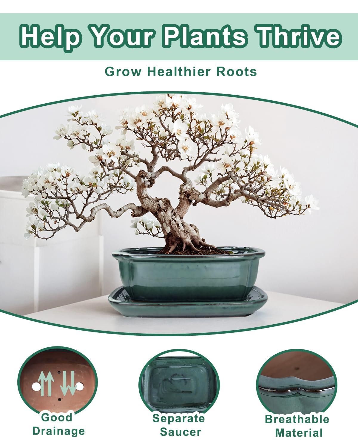 vensovo bonsai in pot styled on table demonstrating attractive home display