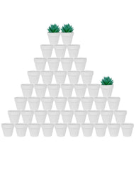 vensovo front view of 48 white terracotta pots showing uniform size and neat rows