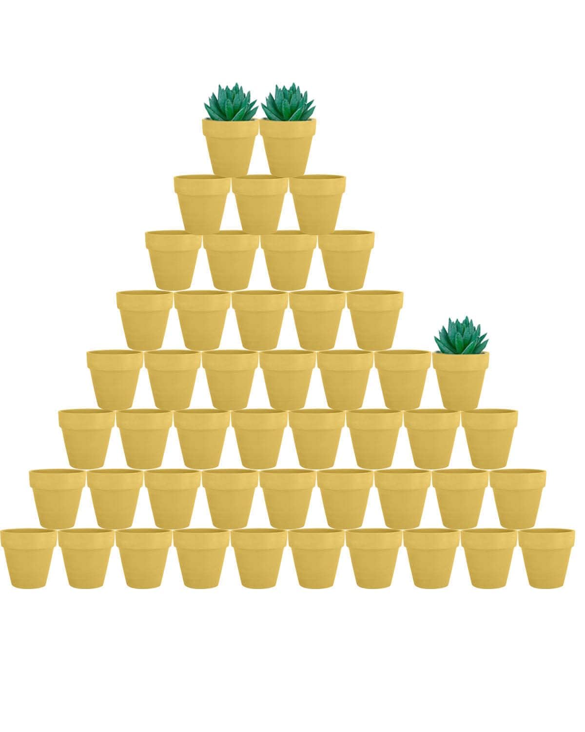 vensovo front pack of 48 yellow clay pots showing bulk value and convenience