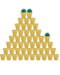 vensovo front pack of 48 yellow clay pots showing bulk value and convenience