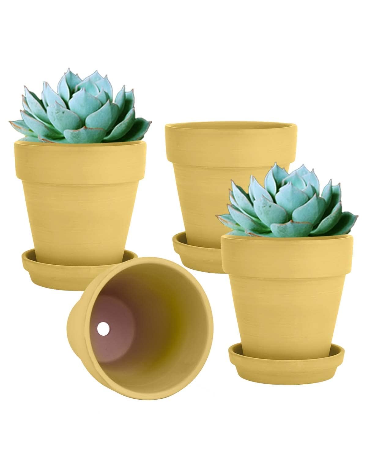 vensovo front view of four yellow pots showcasing cheerful finish and durable build