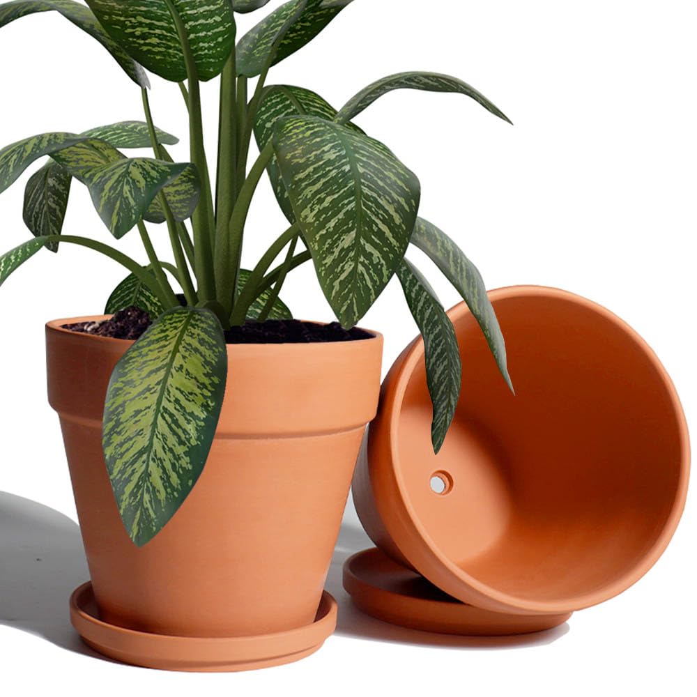 vensovo front view 8-inch pot with saucer showing classic terracotta look and versatile styling