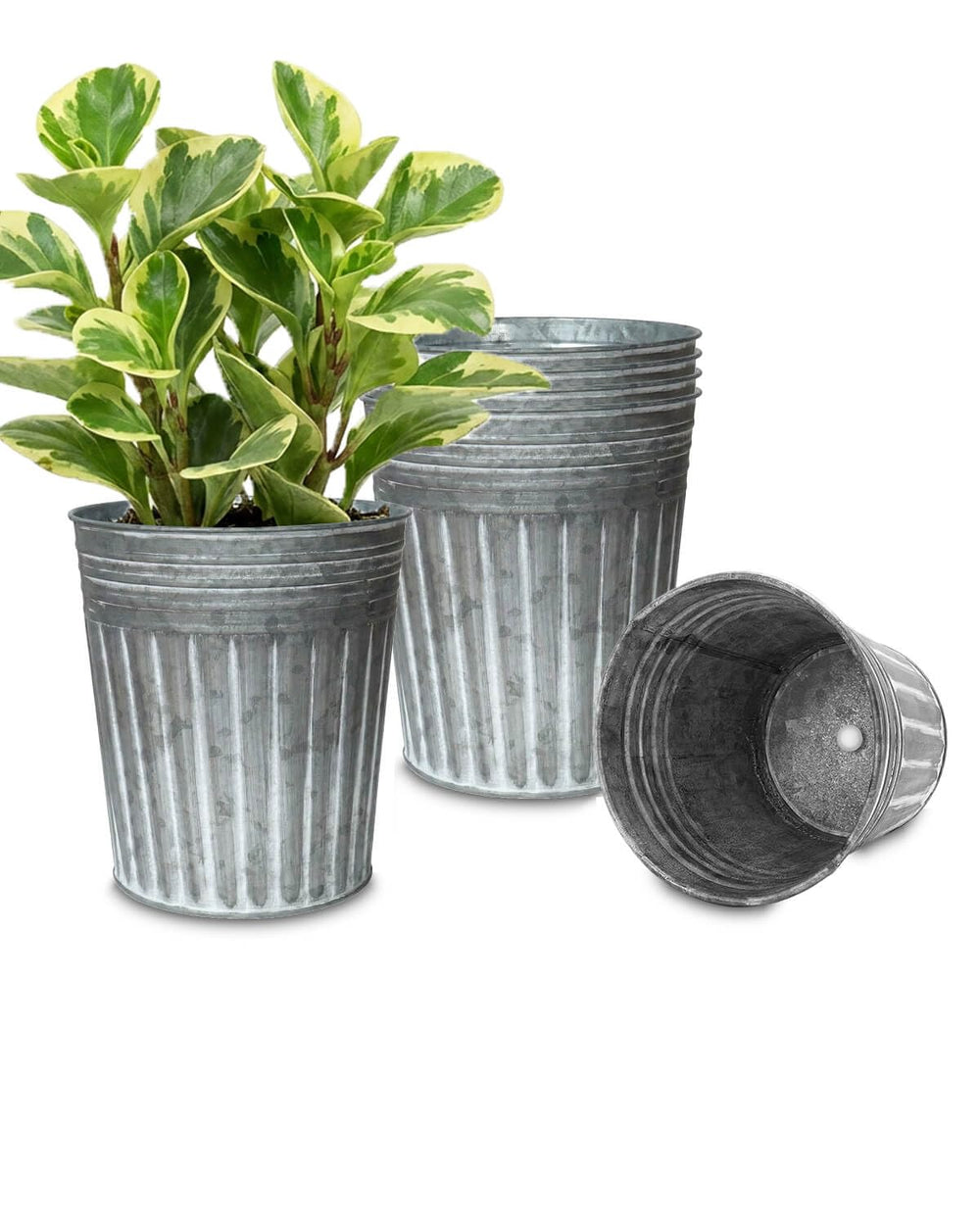 vensovo front view galvanized bucket showing clean farmhouse finish and durable build