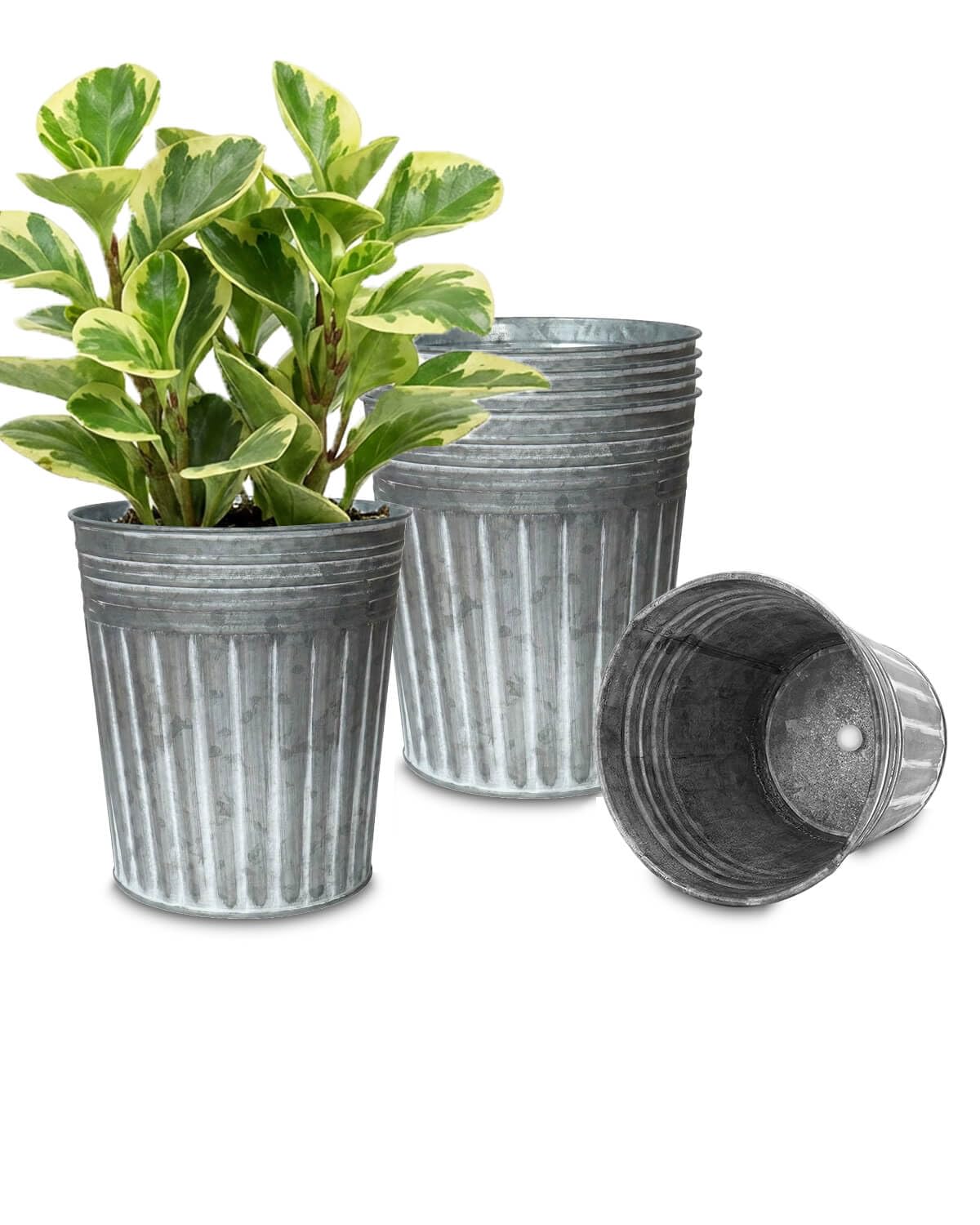 vensovo front view galvanized bucket showing clean farmhouse finish and durable build