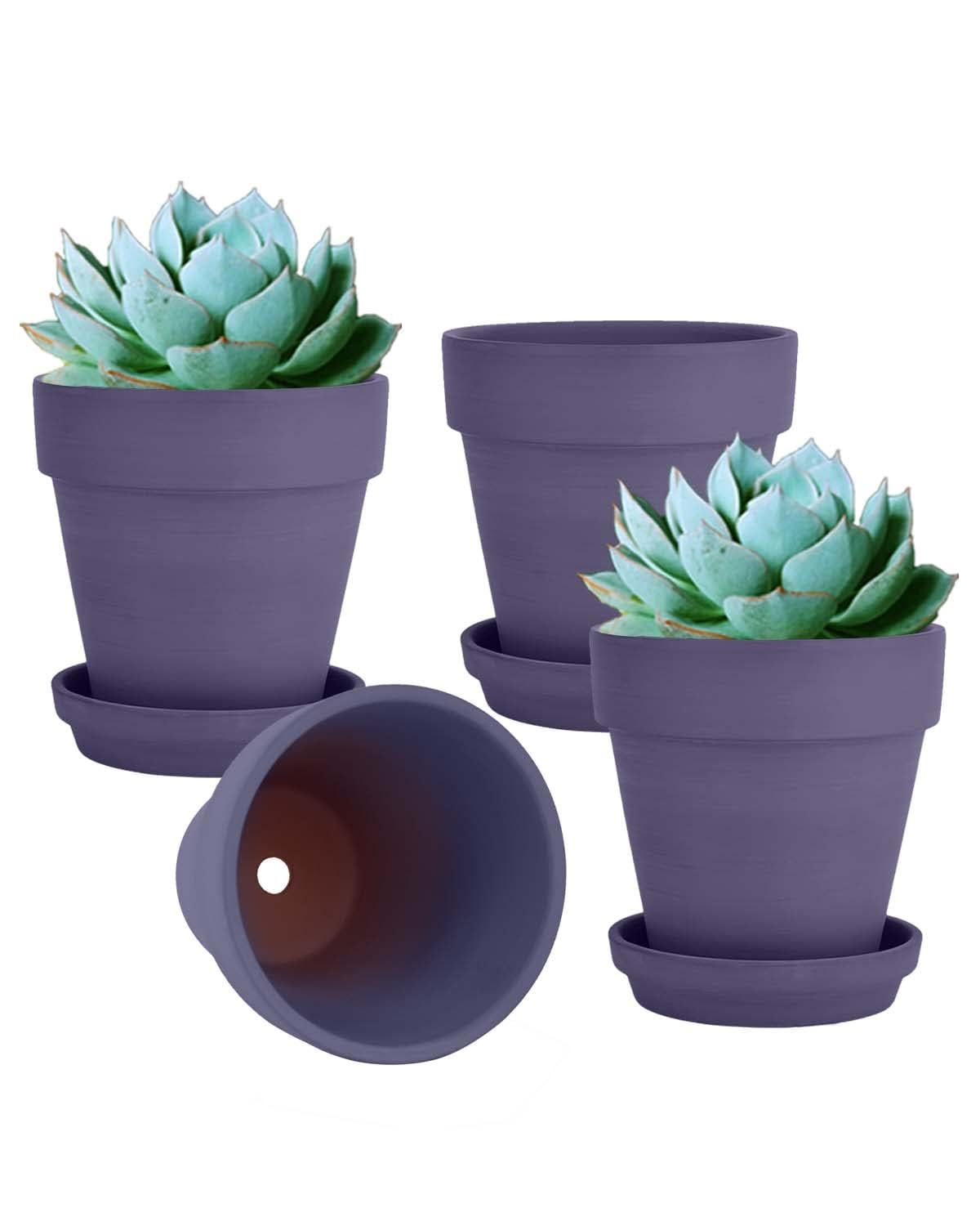 vensovo front view of four purple terracotta pots showing color and shape, enhances decor