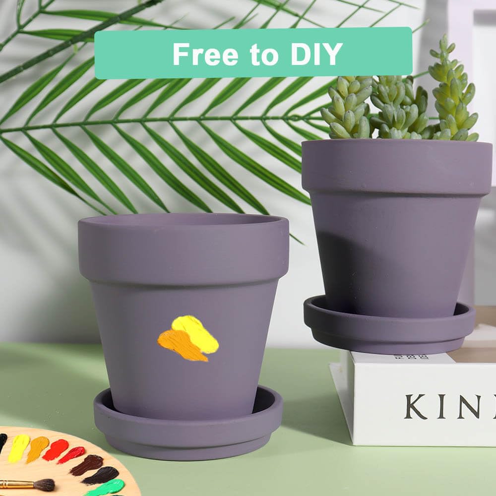 vensovo pots on windowsill with succulents, creates bright indoor display