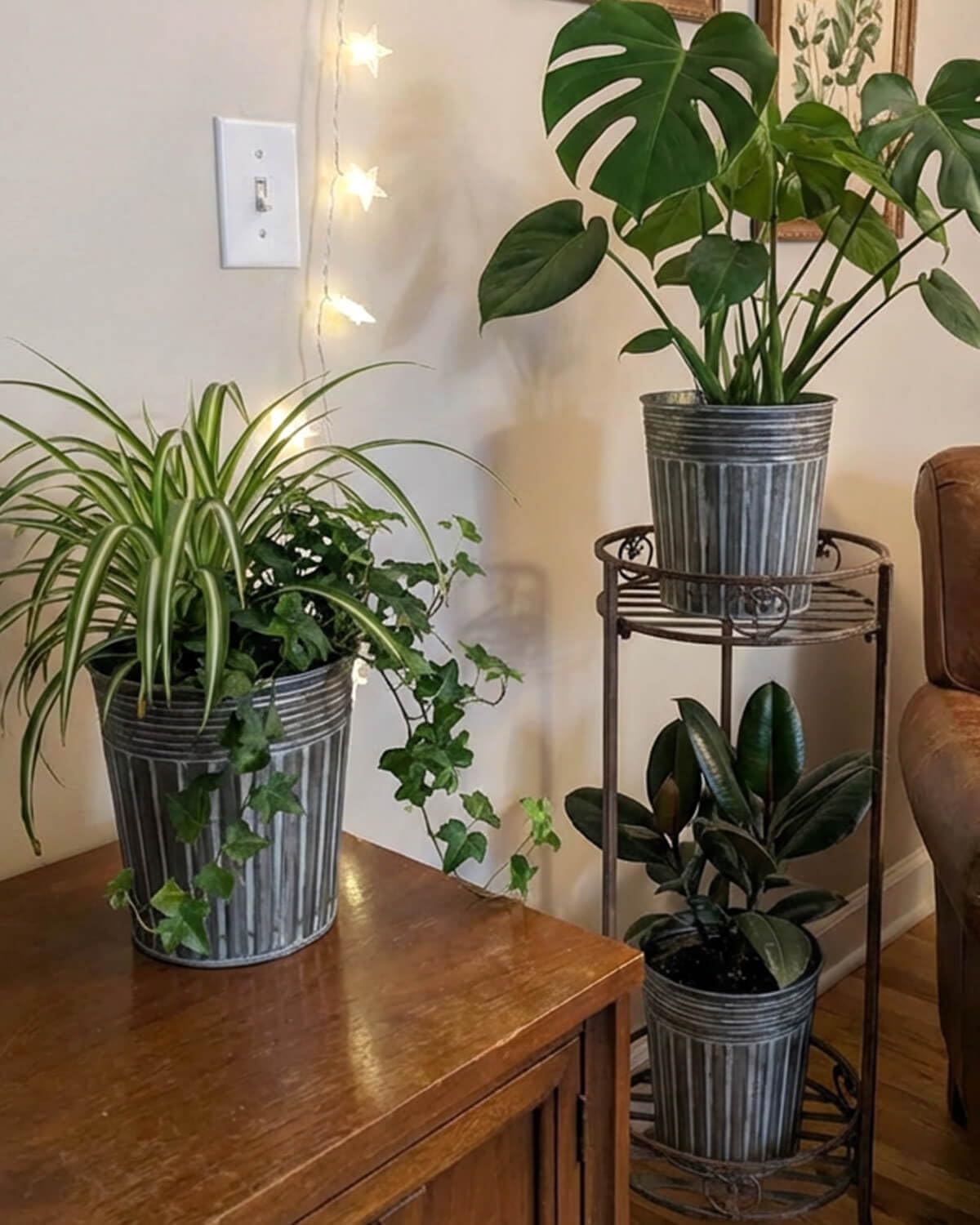 vensovo in-use windowsill herbs displaying compact gardening and tidy drainage