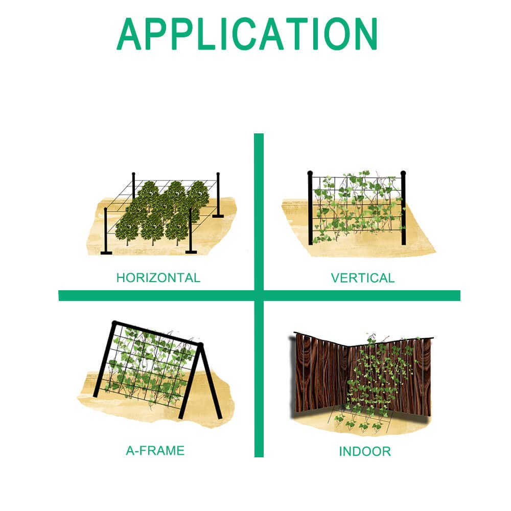 vensovo net fitted on tomato cage demonstrating improved plant airflow