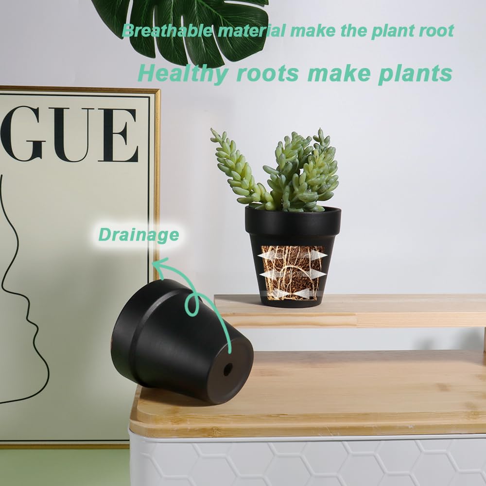 vensovo pots planted on a windowsill offering compact decorative greenery