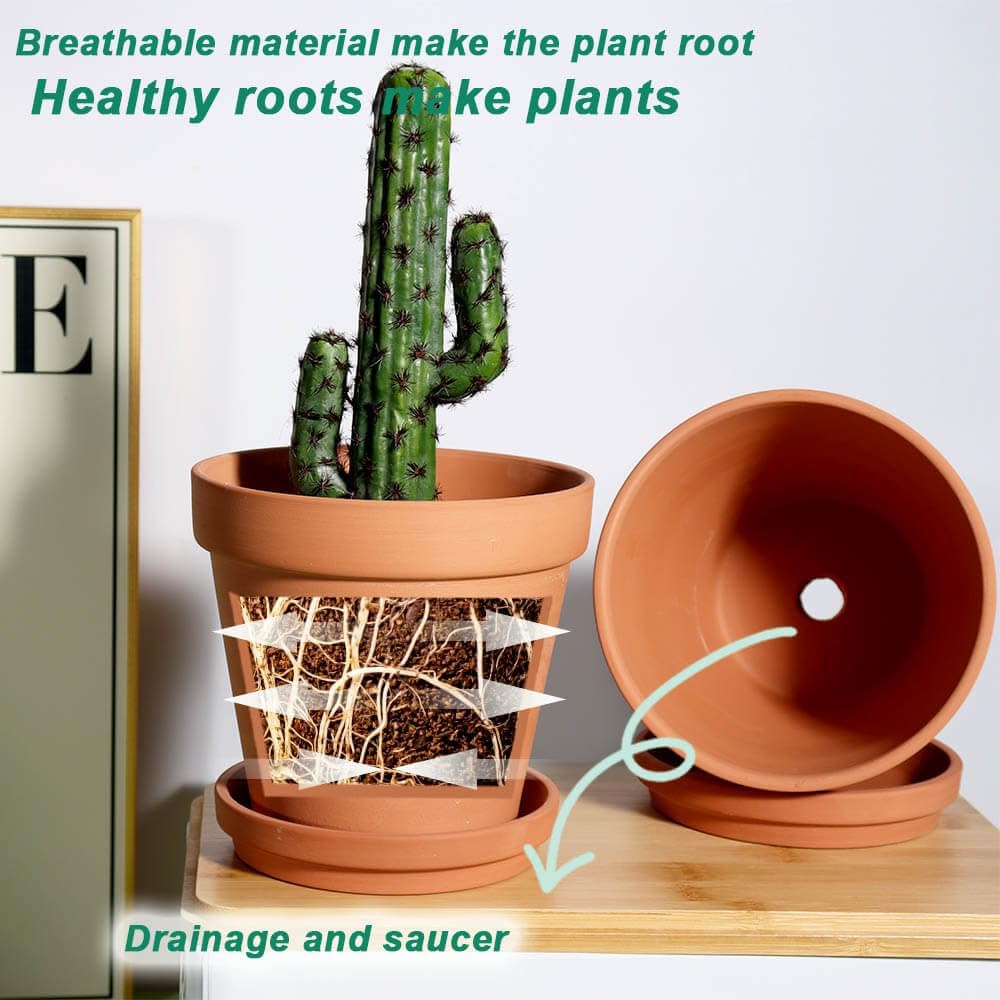 vensovo pot with potted succulent lifestyle demonstrating plant support and decorative appeal