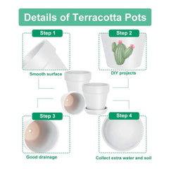 vensovo twelve pots with saucers on windowsill demonstrating surface protection and stylish indoor display