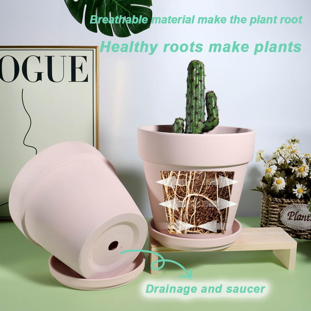 vensovo pots with succulents on a windowsill illustrating compact indoor styling benefits