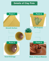 vensovo small succulents in pots on windowsill providing space-saving greenery