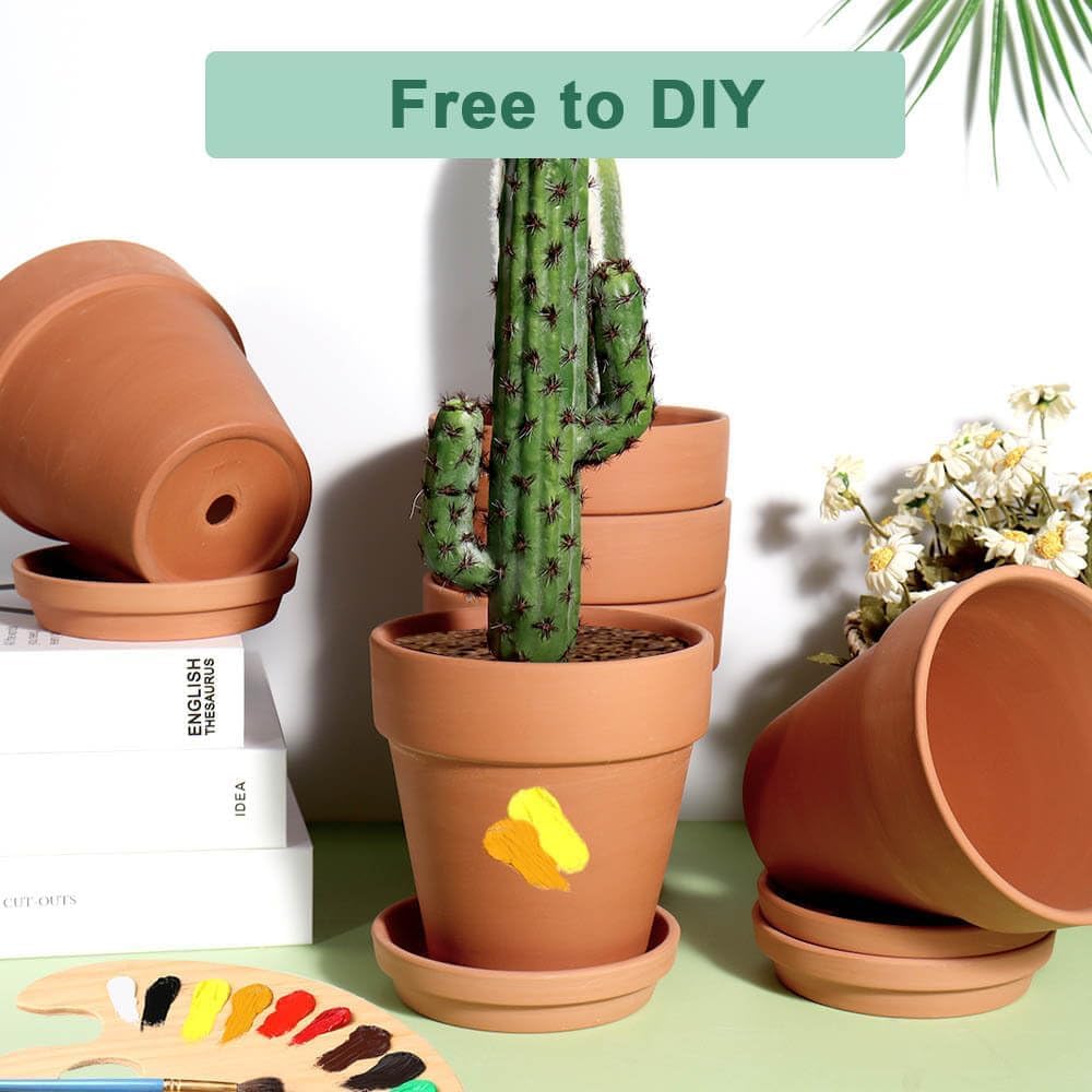 vensovo styled potted succulents showcasing decor versatility and appeal