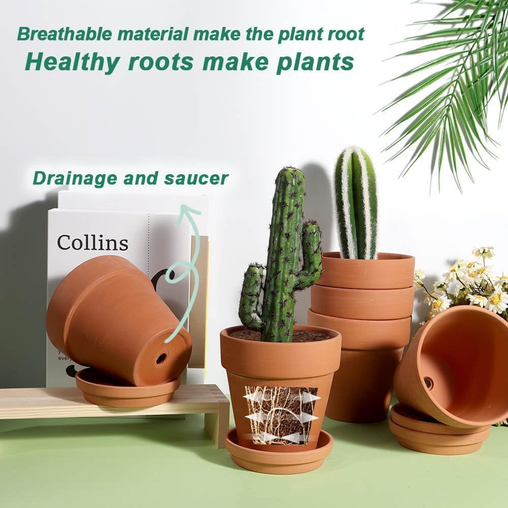 vensovo saucer fit and side profile demonstrating mess-free watering benefit