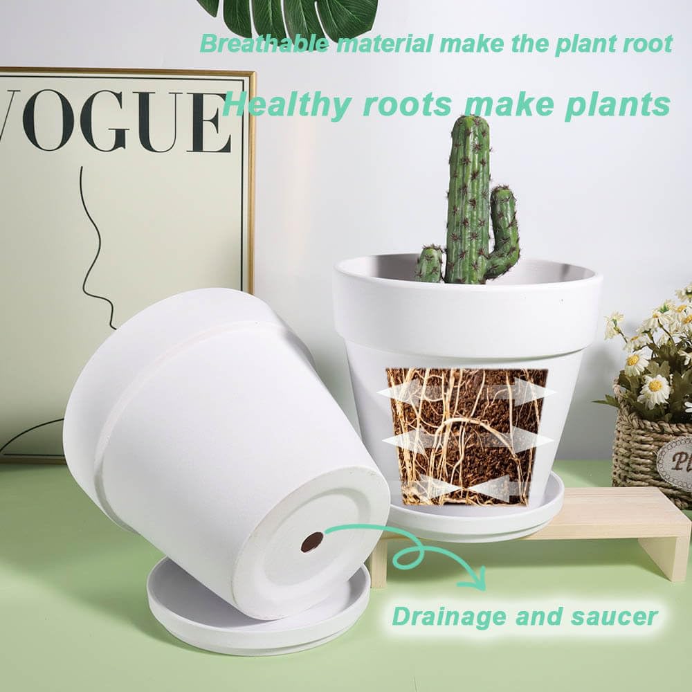 vensovo held in hand to show 5-inch scale ideal for succulents and small herbs