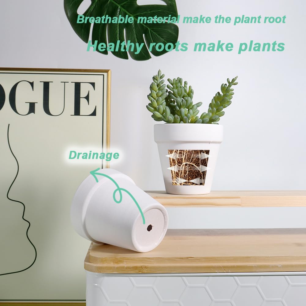 vensovo pots beside ruler illustrating 3-inch size for scale