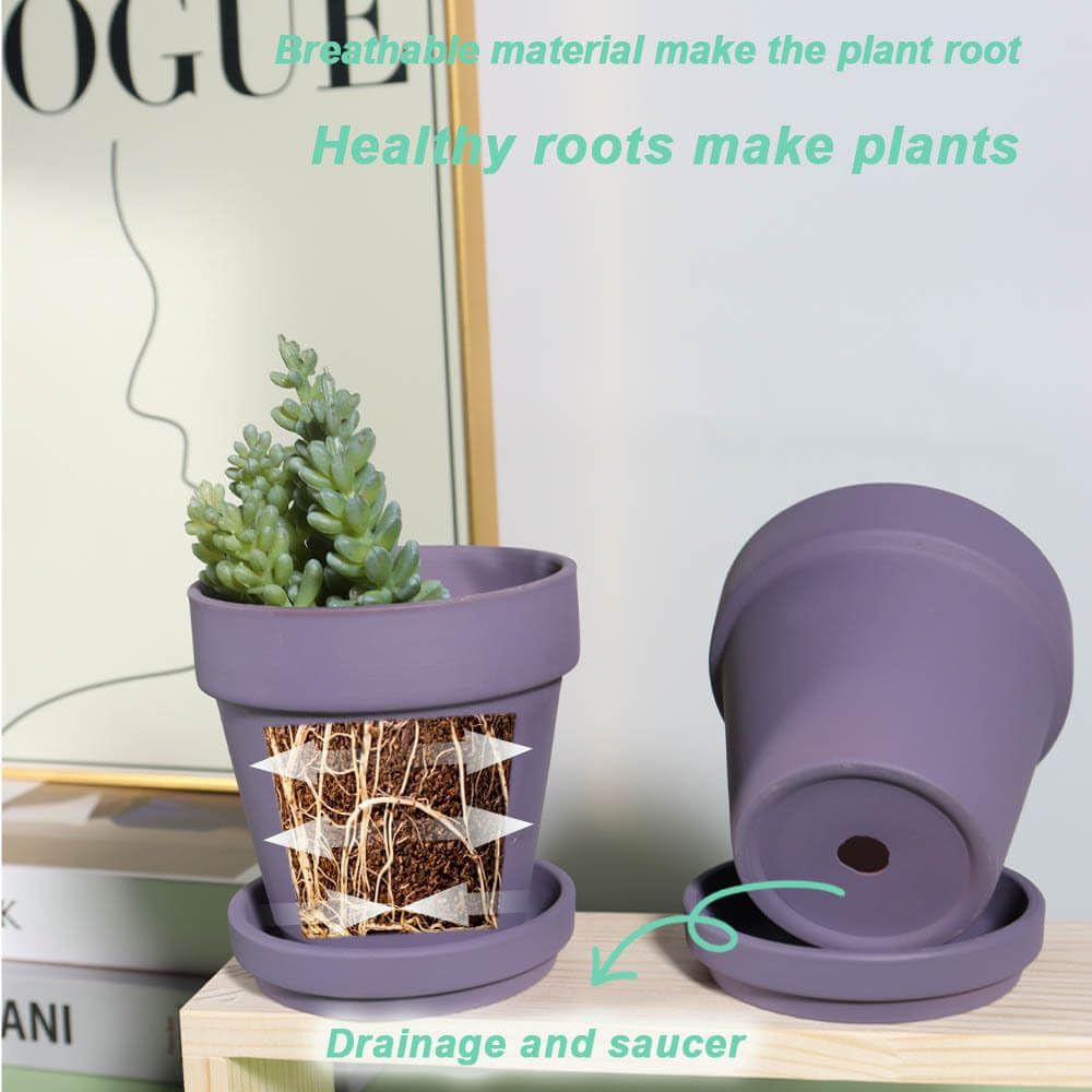 vensovo pot held in hand for scale, helps choose correct plant size