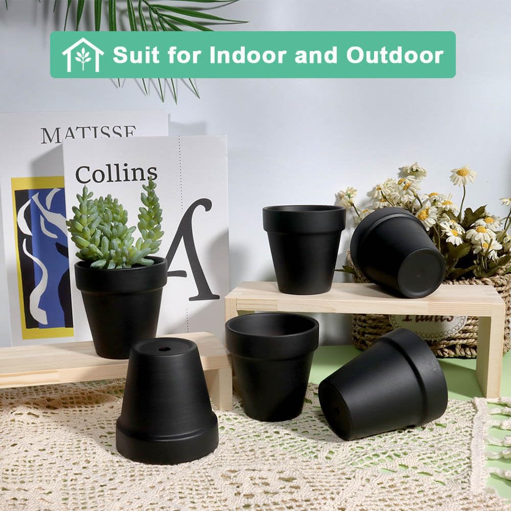 vensovo pot next to ruler illustrating 3 inch size for succulents and herbs