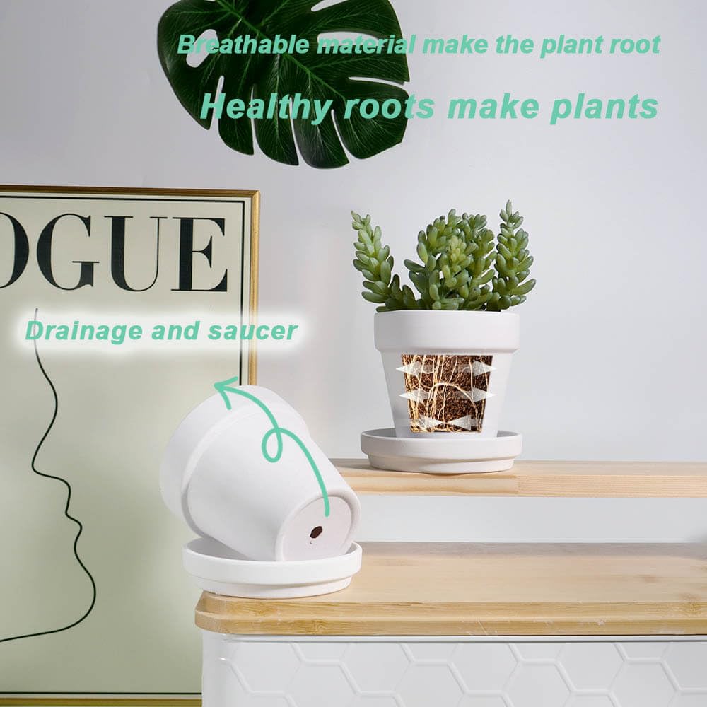vensovo pot beside a credit card for scale showing compact 3 inch size for small succulents