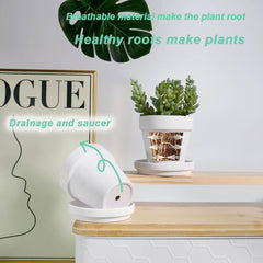 vensovo pot beside a credit card for scale showing compact 3 inch size for small succulents