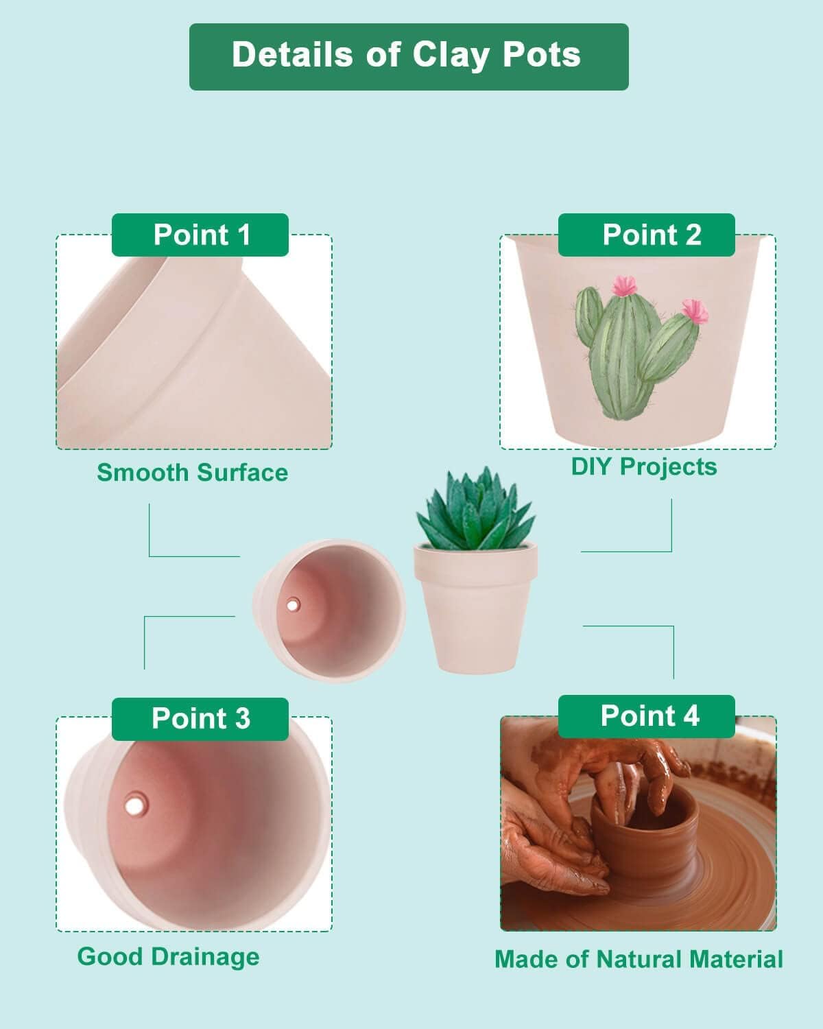 vensovo single pot with succulent demonstrating ideal size for propagation and display benefit
