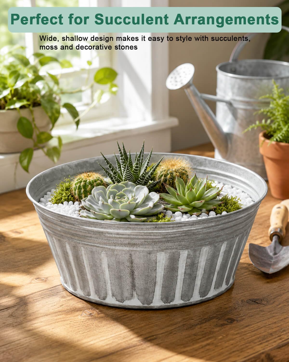 vensovo planters with succulents on a windowsill providing indoor green decor
