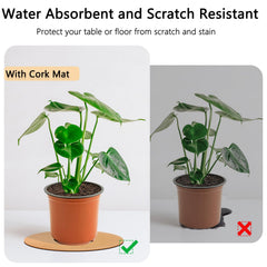 Venyat plant on coaster on wood floor reducing scratches and water marks