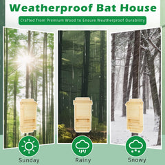 Vercraft interior close-up with textured surfaces, aiding bat grip and comfortable roosting