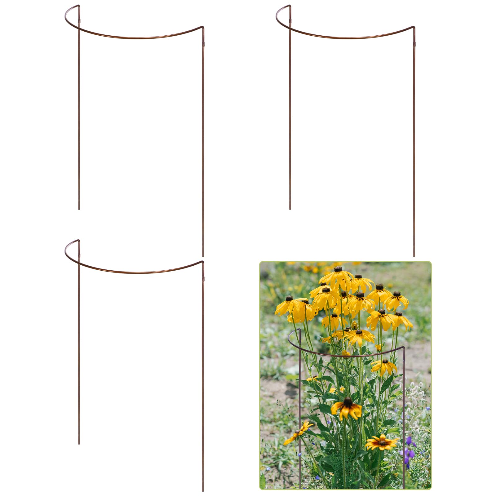 Vercraft front view half round plant support showing sturdy bronze-gold frame and stability