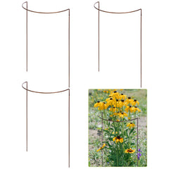 Vercraft front view half round plant support showing sturdy bronze-gold frame and stability