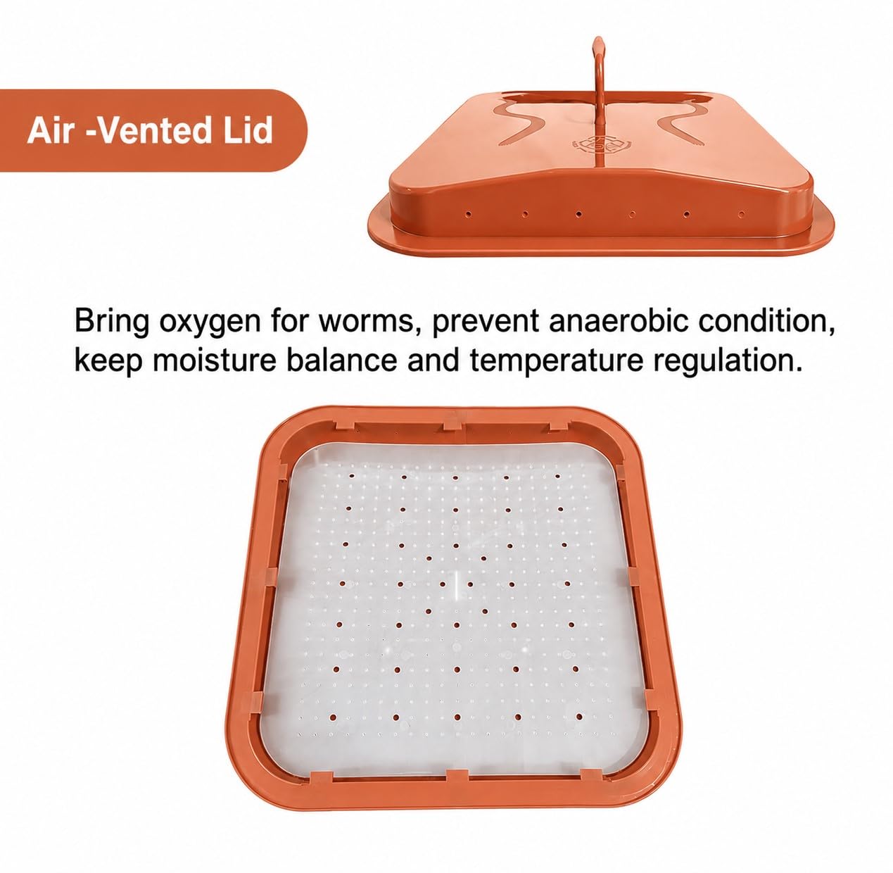 VermiHut M-board inside showing improved airflow and worm health benefit