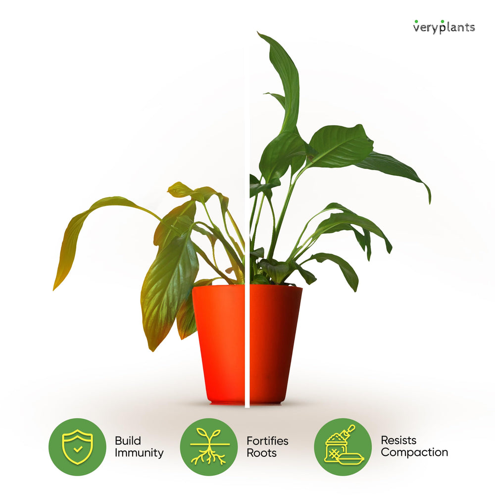 veryplants resealable bag and label showing freshness and recyclability
