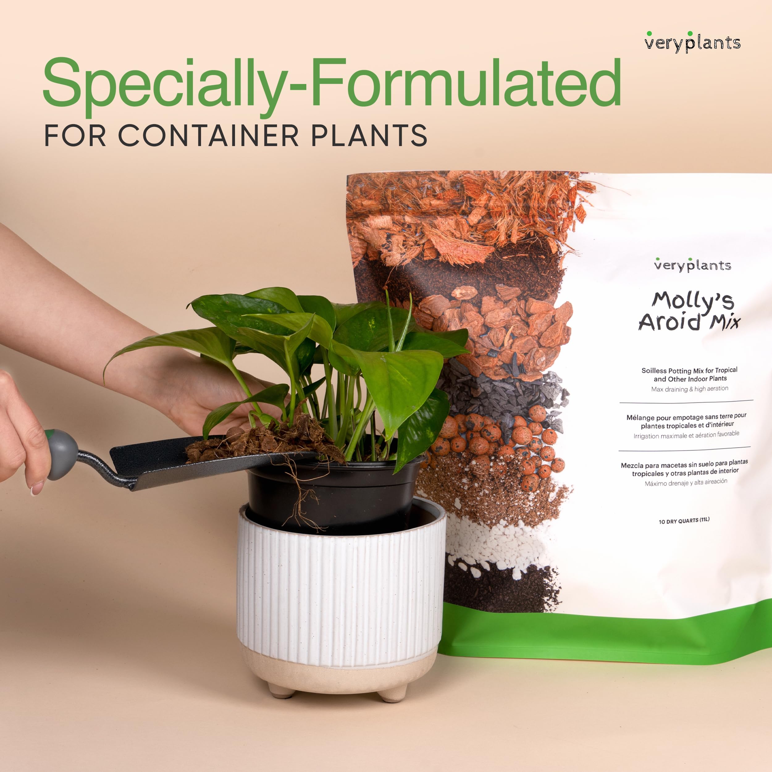 veryplants mix in a pot with monstera showing healthier root space