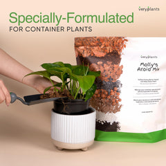 veryplants mix in a pot with monstera showing healthier root space