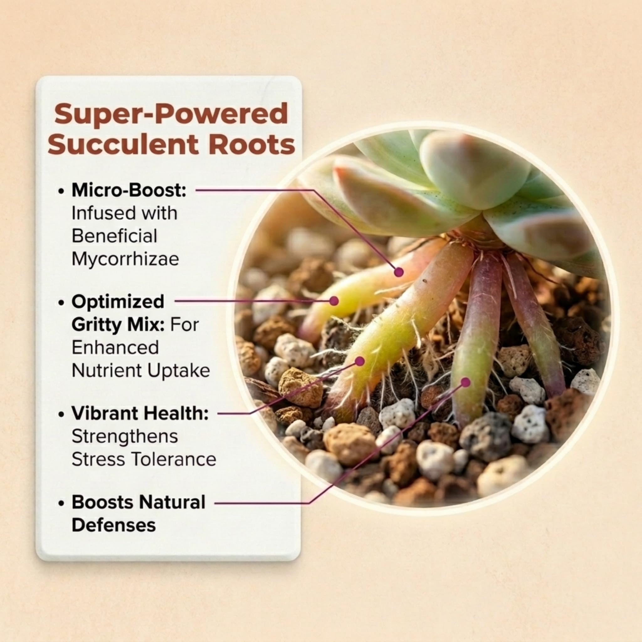 veryplants pumice and lava fragments demonstrating long-lasting porosity benefit