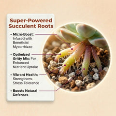 veryplants pumice and lava fragments demonstrating long-lasting porosity benefit