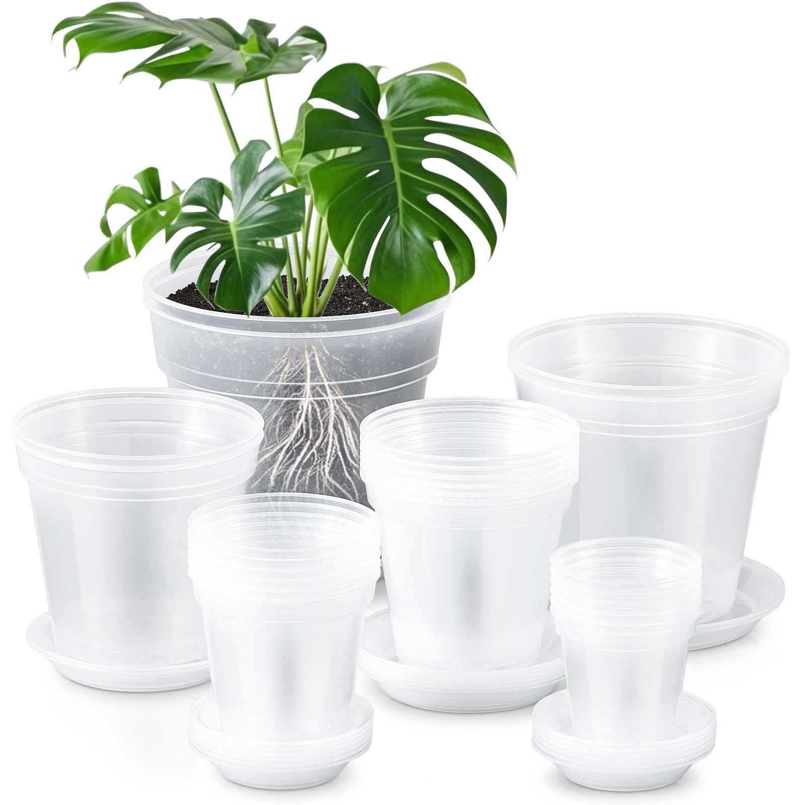 Vesici front view of clear nursery pots showing variety and convenience