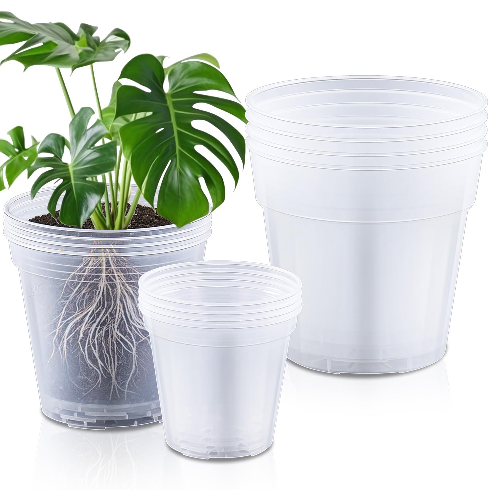 Vesici front view of mixed 12-pack clear pots shows organization and convenience
