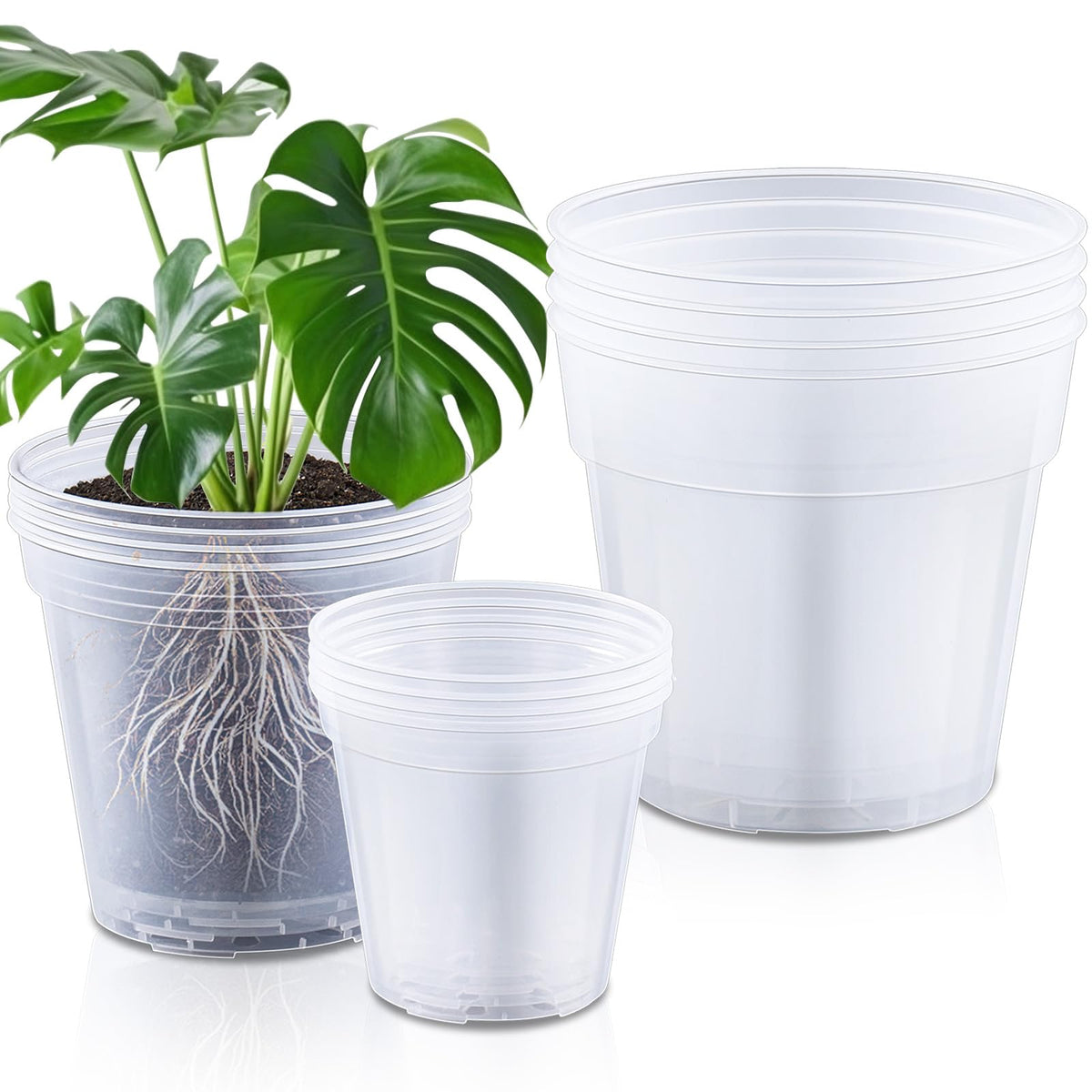 Vesici front view of mixed 12-pack clear pots shows organization and convenience