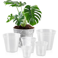 Vesici front view of six clear nursery pots, shows full size range and easy selection benefit