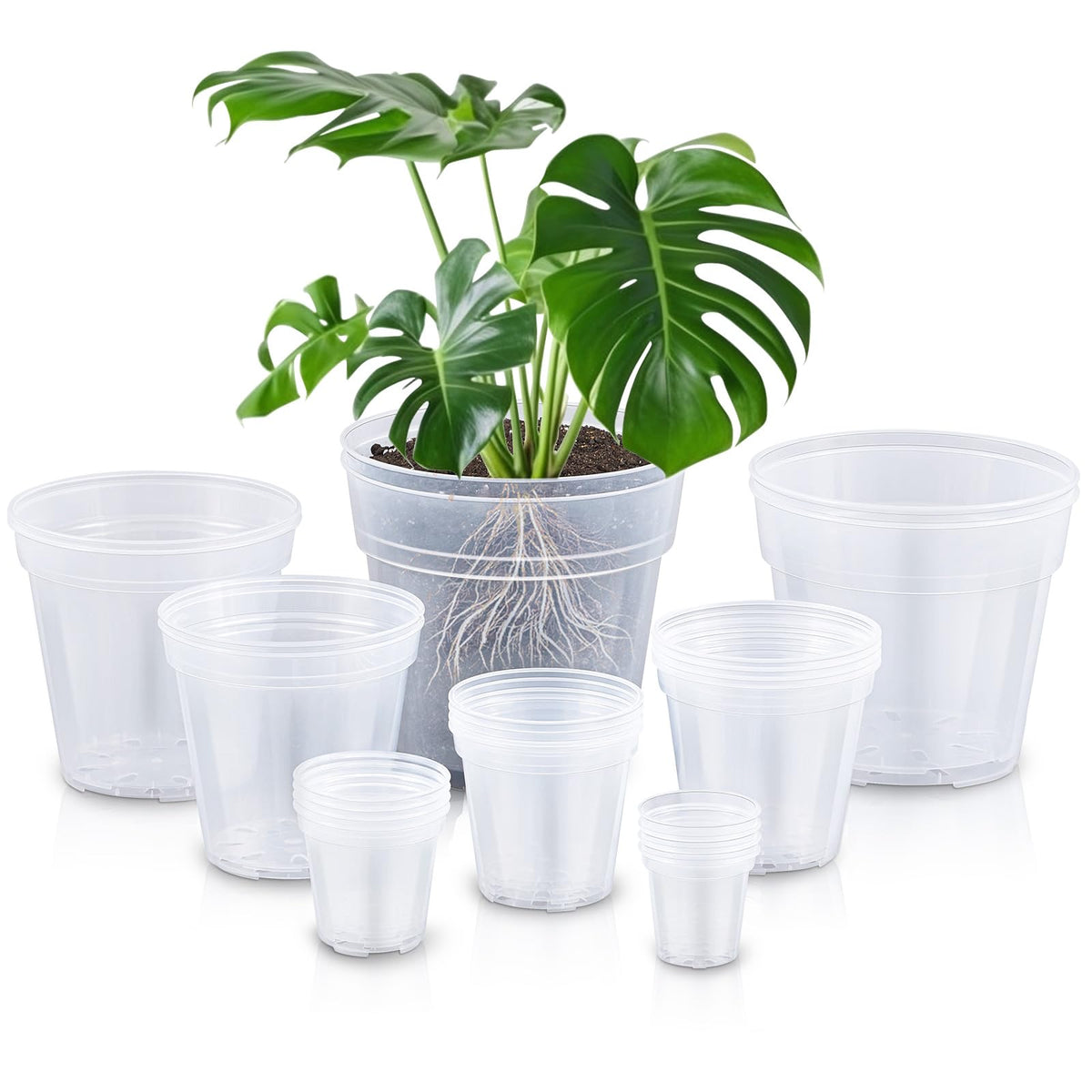 Vesici front view of 24 clear nursery pots showing organized sizes and packaging benefit visibility