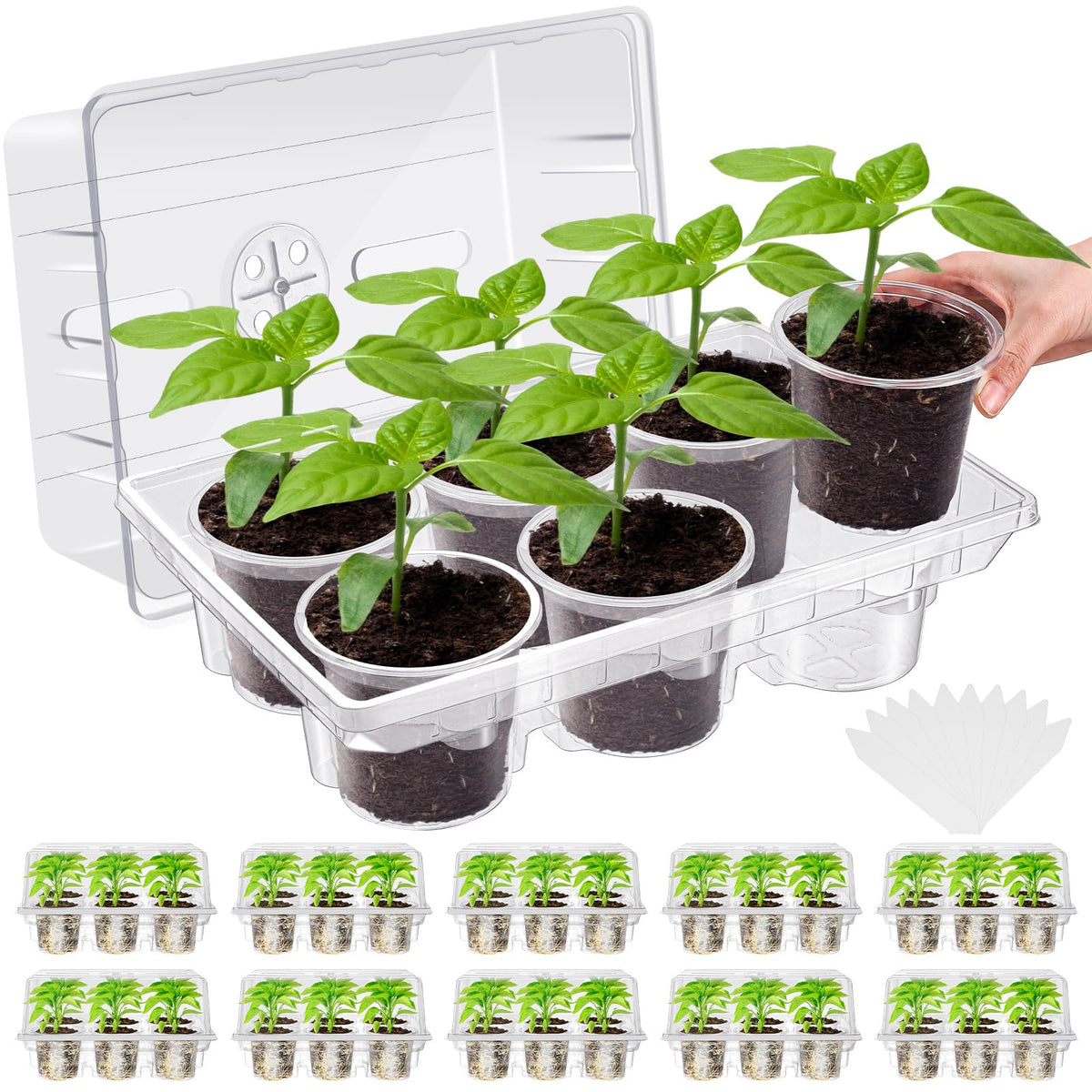 Vesici front view of full 10-pack seed starter kit showing clear domes