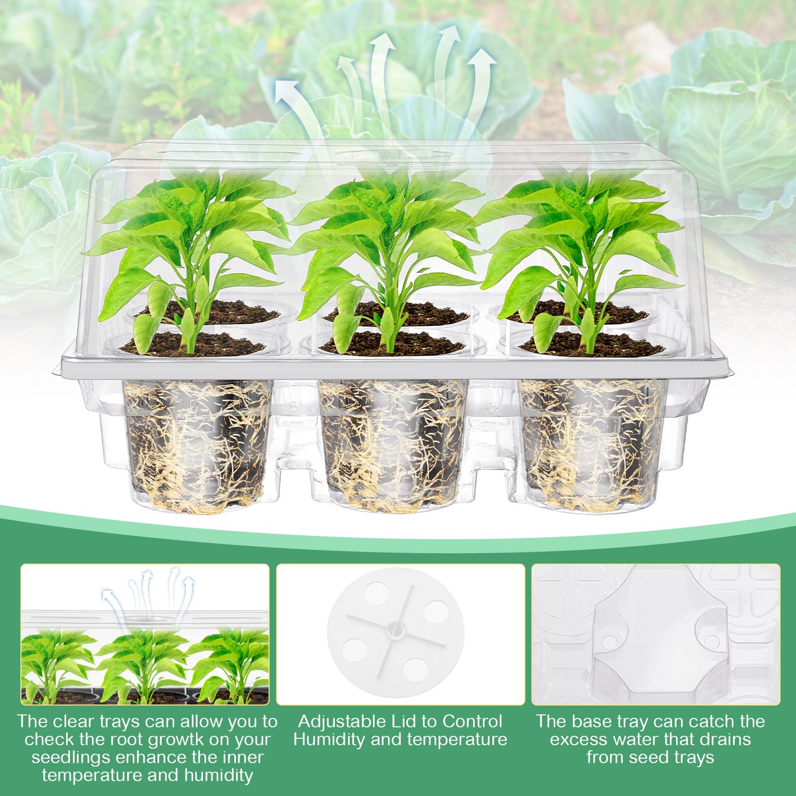 Vesici humidity dome vent detail for controlled airflow and moisture