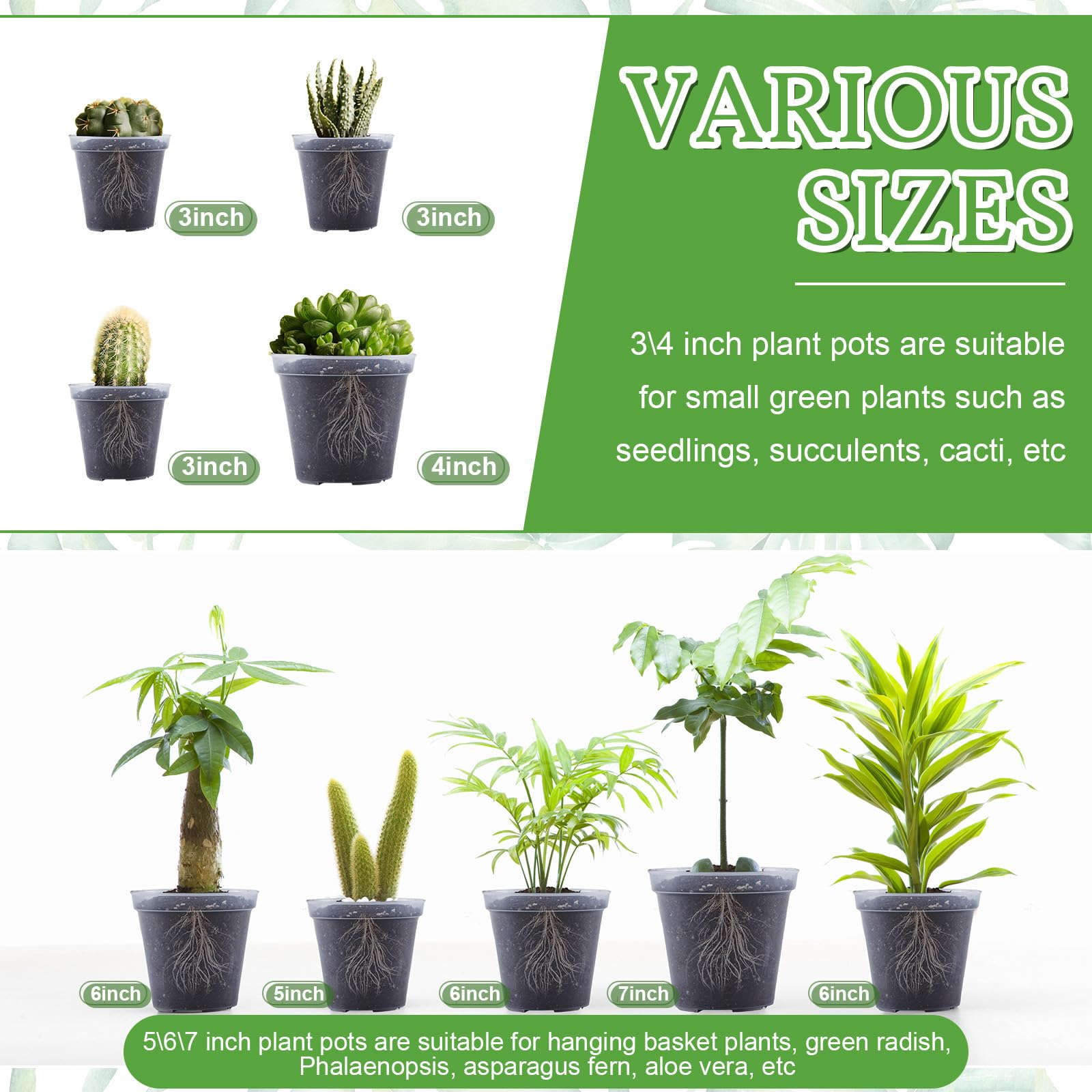 Vesici in-use with succulent being potted to demonstrate flexibility and reusability