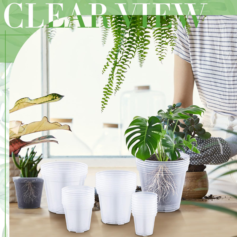 Vesici lifestyle on windowsill with plants showing decorative clear pots and visibility