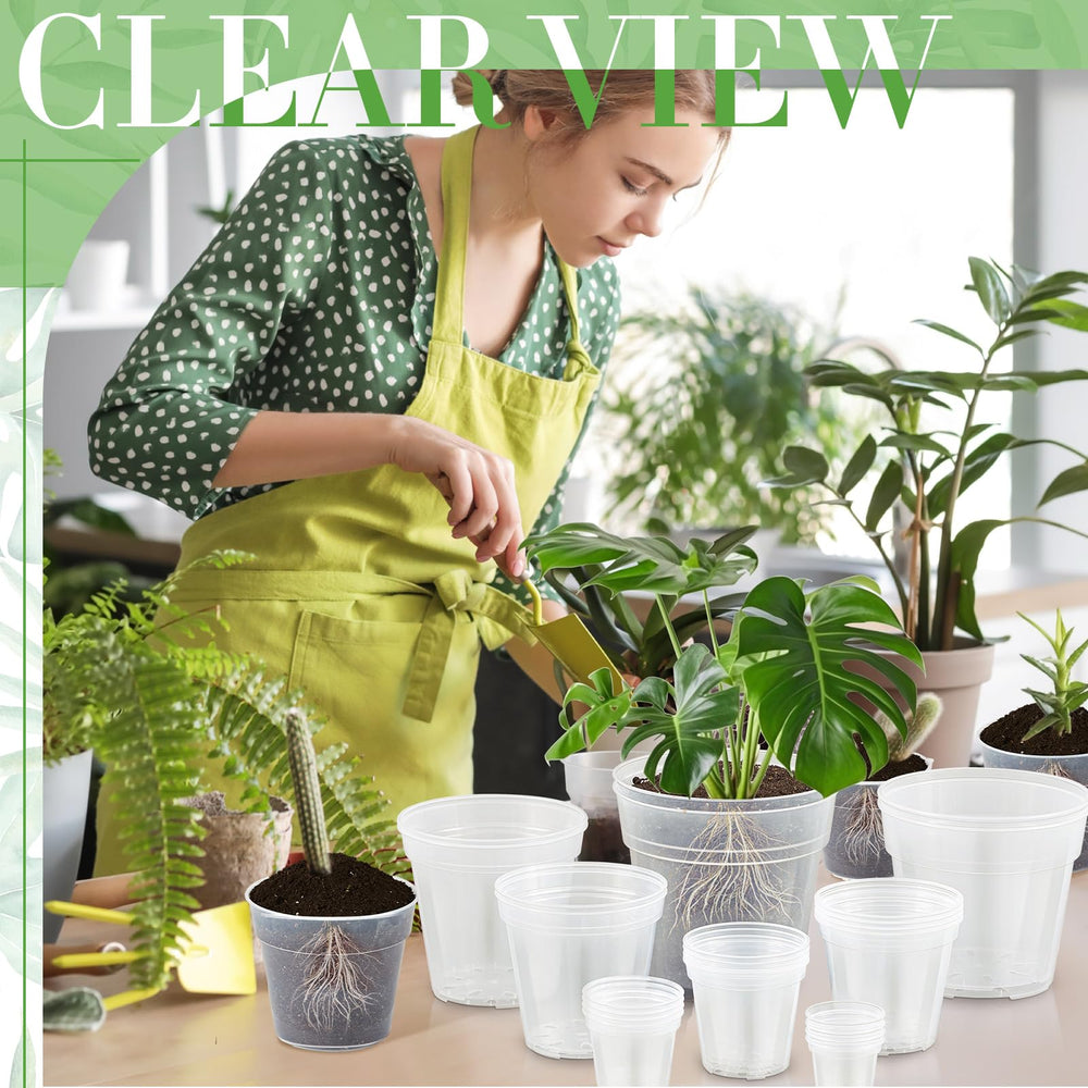Vesici pots styled on a windowsill illustrating attractive transparent display and convenience